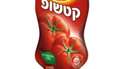 אסם קטשופ קלאסי