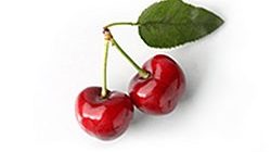 דובדבן מובחר