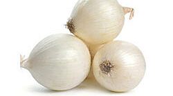 בצלצלי פנינה