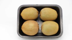 מארז קיווי ירוק