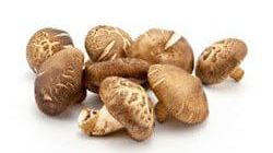 פטריות שיטאקי