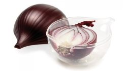 קופסה לשמירת טריות בצל