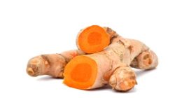 שורש כורכום טרי