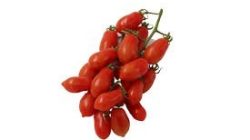 עגבניה שרי לובלו פרידמן