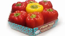 מארז פלפלים אדומים למילוי