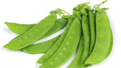 אפונת שלג ארוז