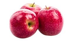 תפוח פינק ליידי