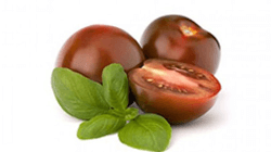 עגבניה שרי שוקולד