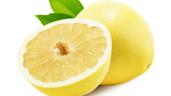 אשכולית לבנה