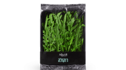 רוקולה/ רוקט