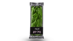 בזיליקום קטן