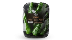 פלפל פדרון ספרדי