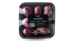 חצילון זברה