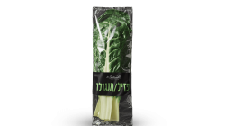 עלי סלק (מנגולד)