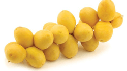 תמר ברהי (צהוב) 1 קג