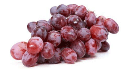 ענבים אדומים יבוא