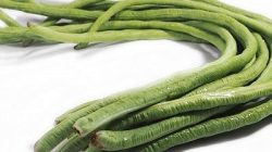 לוביה ירוקה