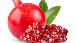 רימון מובחר