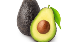 אבוקדו האס