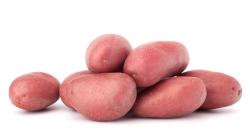 תפוח אדמה ברשת אדום