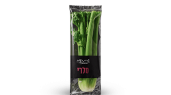 סלרי אמריקאי