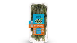 מהדרין בזיליקום