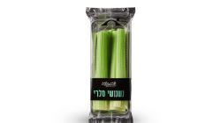 נישנושי סלרי