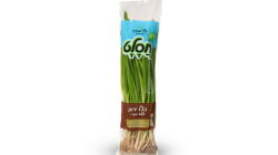 מהדרין בצל ירוק