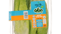 מהדרין לבבות קיסר