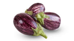 חצילון בלאדי