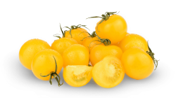 עגבניה שרי צהוב