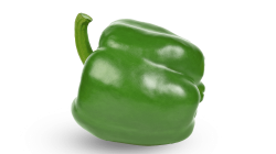 פלפל ירוק כהה