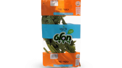 מהדרין סלרי עלים