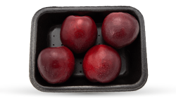 מארז נקטרינה