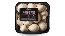 פטריות שמפיניון