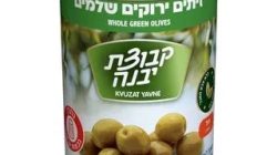 זיתים ירוקים שלמים יבנה
