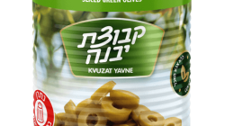 זיתים ירוקים טבעות יבנה