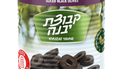 טבעות זיתים מושחרים יבנה
