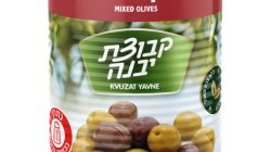 מיקס זיתים יבנה