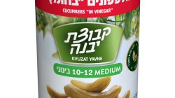 מלפפונים בחומץ בינוני