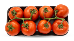 מארז עגבניות