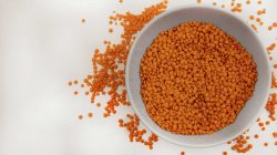 עדשים אדומות ארוזות מובחרות