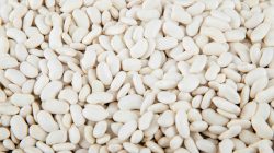 שעועית לבנה ארוזה מובחרת