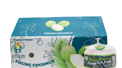 קוקוס שלם לשתייה