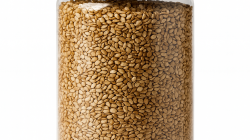 שומשום קלוי מובחר