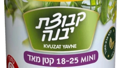 מלפפונים במלח קטנים מאוד יבנה