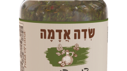 צ'ימיצ'ורי שדה אדמה